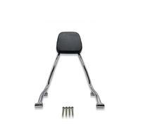 Portaequipajes Trasero Para Motocicleta, De Carga, Asa Agarre Para Pasajero, Respaldo Para BMW Para Classic R 18 R18 2020 2021 2022(R18 Chrome)