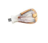 Portafiltro Sin Fondo For Café De 54 Mm Con Doble Pico Y Mango Cyrus, Compatible Con Breville 870, 878, 879, Accesorios For Espresso Y Herramientas De Barista.(M10 White Handle)