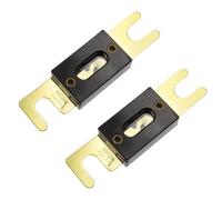 Portafusibles -on Fusible Portafusibles for automóviles Enlace fusible con fusible 40A 60A 80A 100A 200A 250A 300A Fusibles AMP(2PC Fuse,450A)