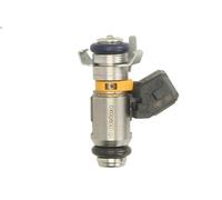Portainyecto MAGNETI MARELLI 805001800302 para FORD KA (RU8) 1.2 2008-2016