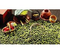 Portal Cool 100 Semillas de Frijol Mungo. Brotación y Shell. Cocina India. Hopia. Reliquia, Estados Unidos