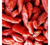 Portal Cool Goji (Comestibili Berry) Lycyum 100 Semi
