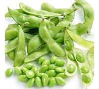 Portal Cool Las semillas del paquete: haba de soja - Edamame