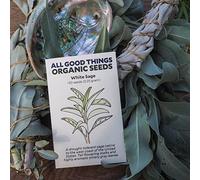 Portal Cool Las semillas del paquete: White Sage (Salvia Apiana) (~ 50): Non-GMO orgánicos de la herencia