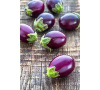 Portal Cool Little Fingers Berenjena 10 SemiPetite Melanzane Fantástico por Grigliate