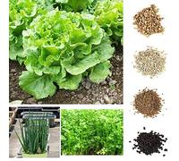 Portal Cool Paquete de se as: Tipo 4: Medicamentos y el valor económico de la Se asa de Corea del Sur abeto Se as Ehe8