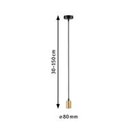 Paulmann 71134 Luminaria colgante Ravi, IP44, E27, máx. 60W, negro mate, oro, lámpara colgante sin fuente de luz