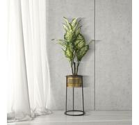 PORTAOLLAS SIMPLEMENTE