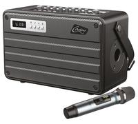 Portátil Amplificador Combo Con Inalámbrico Micrófono - ROADY FL