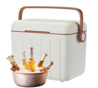 Portátil - Refrigerador para Conservación De Leche con 6 Bolsas De Hielo,Portátil de 6L para Picnic Bebidas Barbacoa Camping Deportes Gimnasio Senderismo Pesca Playa Viajes Exteriores