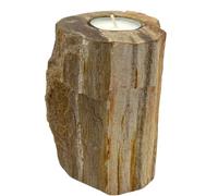 Portavelas de madera petrificada - individual alto