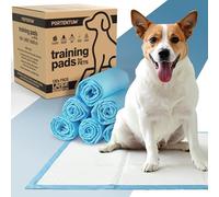 PORTENTUM Empapadores Perros 60x60 cm 100 Unidades - 6 Capas absorbentes antifugas con Control de olores - Alfombrillas Desechables para Entrenamiento - Inodoro para Perros