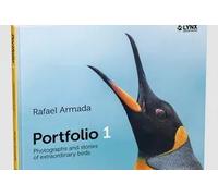 PORTFOLIO 1 | Rafael Armada