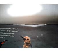 Portfolio 12 (Wildlife Photographer of the Year)