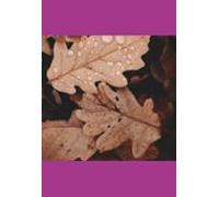 Portfólio Da Escola De Educação Básica Professora Olívia Bastos (eboo