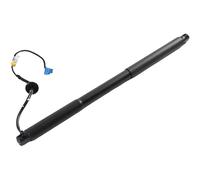 Portón Trasero Eléctrico Soporte Elevación Eléctrica Portón Trasero Derecho 1669801964 A1669801964 1669802064 Para Benz Clase M W166 ML350 GLE400 GLE350 Puntales portón trasero