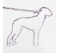 Portrait of a dog - Jonah Yano (CD) [輸入盤国内仕様]