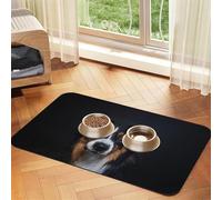 Portrait of Border Collie Print,Waterproof Pet Feeding Mat,PU Leather Placemats for Cat Dog Water Bowl,Food Mats,40x60cm