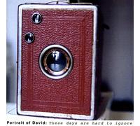 Portrait of David - These Days are Hard to Ignore [Import]