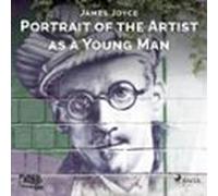 Portrait Of The Artist As A Young Man