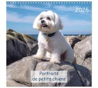 Portraits de petits chiens (Calendrier mural carré 2026 30x30 cm) Calendrier double avec une page pour vos prises de notes: Préparez-vous à douze mois ... petites tailles les plus adorables du monde.