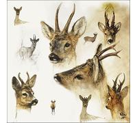 Portraits of Deer - Servilletas (33 x 33 cm)