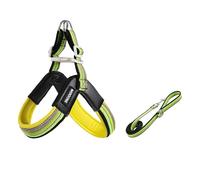 Portuguese Water Dog - Mochila con correa en forma de Y, 1,4 m, ligera y antitirones con acolchado suave, color verde, M