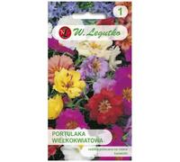 Portulaca grandiflora mezcla, semillena