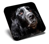 Posavasos cuadrados con diseño de perro Spaniel negro Springer | Posavasos de calidad brillante | protección de mesa para cualquier tipo de mesa #44334