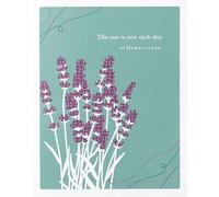 Positively Green Greeting Cards: Get Well - "The sun is new each day" - Heraclitus (Pack of 6)