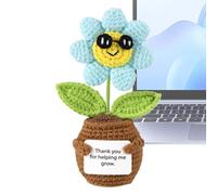Positivo, Muñeca de la Suerte, Decoración Artificial Pequeña Linda De Ganchillo para Cumpleaños, Maestro, Amigo, Graduación, Apreciación