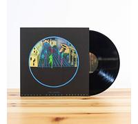 Post Animal - Forward Motion Godyssey [Vinilo]
