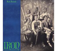 POST ANIMAL - IRON EXPANSION PACK [Vinilo]