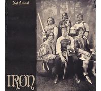 Post Animal IRON (Vinyl) 12" Album Coloured Vinyl