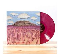 Post Animal - When I Think Of You In A Castle (Colored Vinyl)