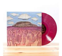 Post Animal - When I Think Of You In A Castle (Colored Vinyl)