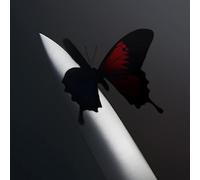 Post Malone - Post Malone - Twelve Carat Toothache [Red/Black Marble]