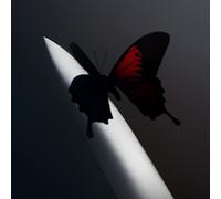 Post Malone Twelve Carat Toothache (Cassette) (Importación USA)