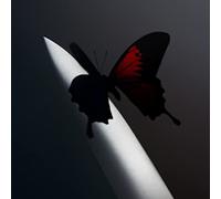 Twelve Carat Toothache [Casete]