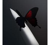 Post Malone Twelve Carat Toothache (Vinyl) 12" Album Coloured Vinyl