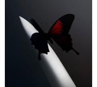 Post Malone - Twelve Carat Toothache: Exclusive Silver Vinyl 2LP [Vinilo]