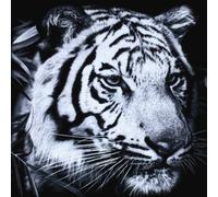 Post War Years - The Greats and the Happenings