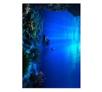 Postales Pescho Tanks Adhesivo de SeaForld Realista para el 'Adhesivo Adhesivo Aquarium y la Decoración del Acuario del Acuario del Acuario del Acuario (91 * 41cm)