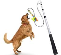 Poste de coqueteo para Perros con cordón no elástico Seguro y Fuerte, señuelo telescópico para Perros de Cualquier tamaño, Juguete para Perros para Entrenamiento y Ejercicio de Yes4Quality