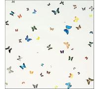 Póster abstracto de Damien Hirst Cuadro de pared de pared 《Puro como la nieve arrastrada》 por Damien Hirst Grabados Pintura en lienzo a color para decoración del hogar 40x40cm sin enmarcar