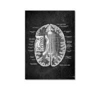 Póster anatómico de neurología cerebral, estructura del cerebro humano, arte médico, anatomía, impresiones de neurólogo, psiquiatra, médico, decoración de oficina (SKU1,40.6 x 50.8 cm, sin marco)