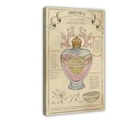 Póster artístico de mago mágico de poción de amor, decoración de dormitorio, paisaje, oficina, habitación, regalo, 50 x 75 cm