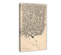 Póster artístico en lienzo con dibujo de neurona de Santiago Ramón Y Cajal y arte de pared, marco moderno para decoración de dormitorio familiar, 40 x 60 cm