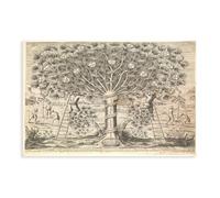 Póster artístico sobre lienzo con diseño de la Iglesia Católica Antigua y la cronología del gran árbol de cedro y arte de pared, impresión moderna para dormitorio familiar, sin marco, 40 x 60 cm