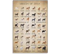 Póster clásico for perros de razas de perros, conocimiento, educación, arte en lona, estética y arte de pared, 12 x 18 (30 x 45)(Unframed,16x24inch(40x60cm))